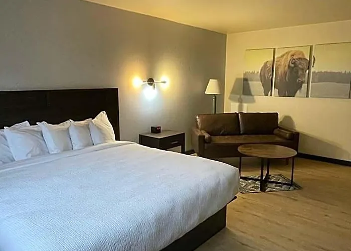 Motel The Scout